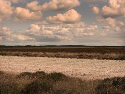 IMGP6255_Borris Soenderland